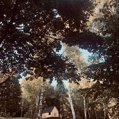 Rifugio Dusman Pian Pietro Camping Brirus